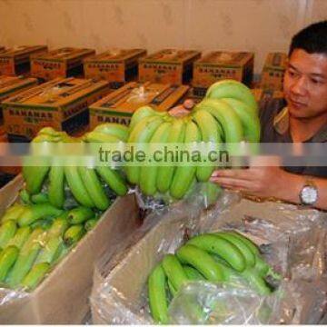 Cold Room Storage for Vegetables