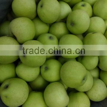 Hot sale fresh green apple prices