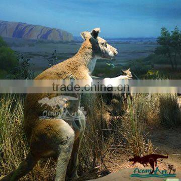 Life Size Animal Sculpture Kangaroo Stature Playground for Show photo-2