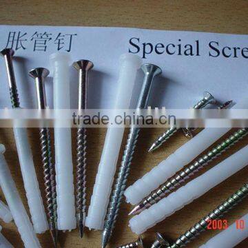 Anchor Screw