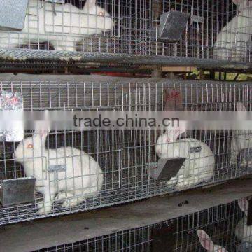 anping china manufacturer 3 story plastic rabbit cage battery farming cage industrial in kenya farm trays