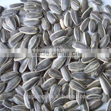 SUNFLOWER SEED ,SUNFLOWER SEED KERNLES photo-3