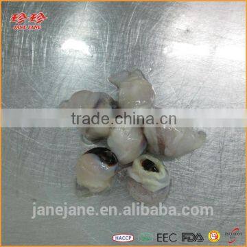 Frozen Squid Beak - Ommastrephes Bartrami photo-4