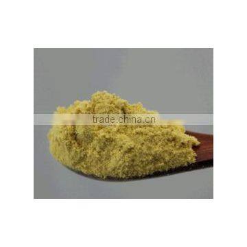 ginger extract powder with top quality and good price