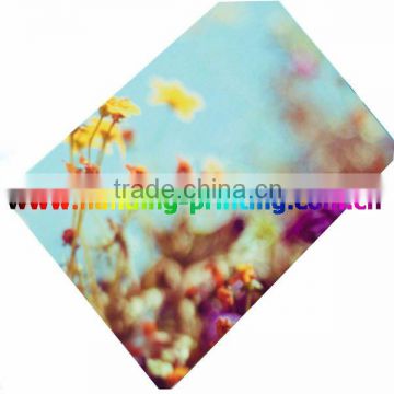 supply printed colorful postcard