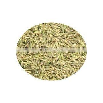 Cumin Seed Indian Origin