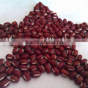 Chinese Small Red Bean( 2010 crop, heilongjiang origin, hps)