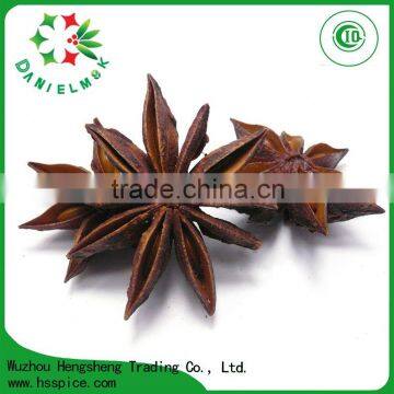 Chinese Cooking Spices Star Aniseed Whole