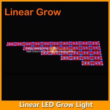 4FT 95W LED Grow Lighting photo-5
