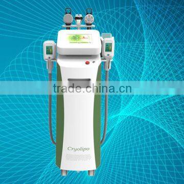 50 / 60Hz Hottest 5 Handles Cryolipolysis Zeltiq Fat Freeze Cryolipolysis & Cavitation Slimming Machine photo-2