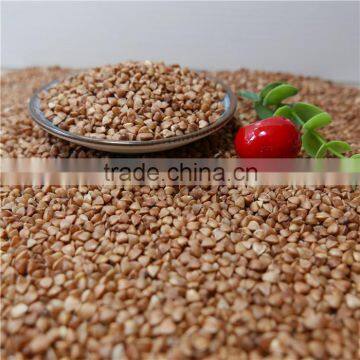 Roasted sweet raw buckwheat kernels high quality hot sale