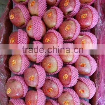 Unbagged Qinguan Apple photo-3