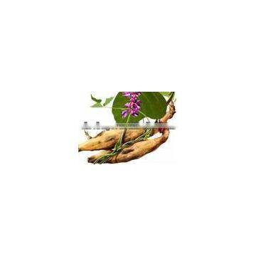 BNP Supply Best Natural Kudzu Root Extract