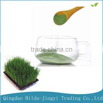 2015 Organic wheat grass extract powder