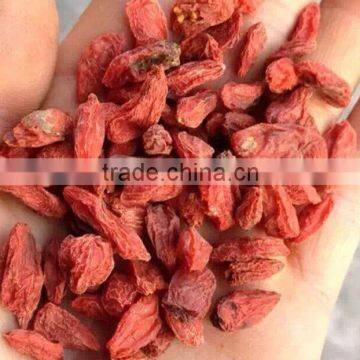 USFDA ZhongNing GoJi berry 580grains/50g