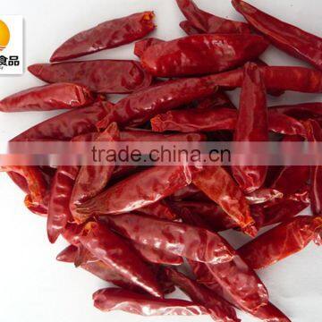 New Crop Dry Red Whole Chilli Exporter photo-2