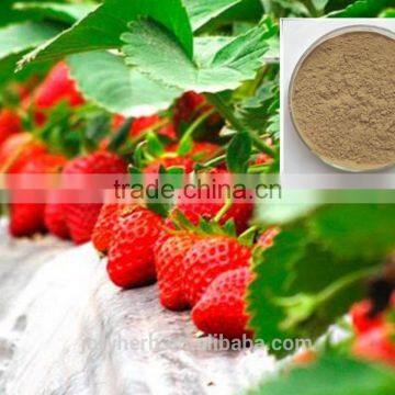 organic strawberry juice powder