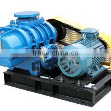 Positive displacement pump