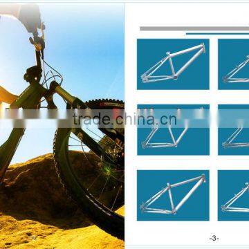 fashion mountain bicycle frame