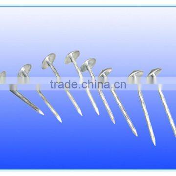 Umbrella Head Roofing Nails and Construction Nails photo-5