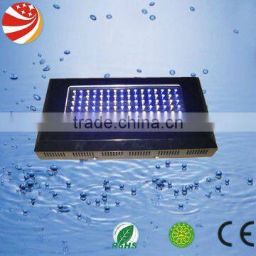 marine aquarium LED lighting