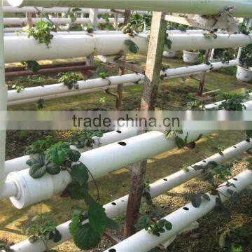 Agricultural Hydroponic NFT Planting Growing System photo-3