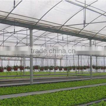 Hot Sale Multi Span Plastic Covered Fan Greenhouse photo-3