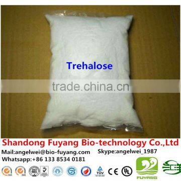 Hot Sale Trehalose in Panama Marketing photo-4