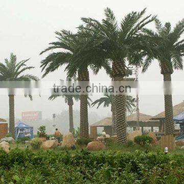 Outdoor Indoor Artificial Coconut Palm Tree UV Proof High Quality High Simulation Fake Palm Tree photo-2