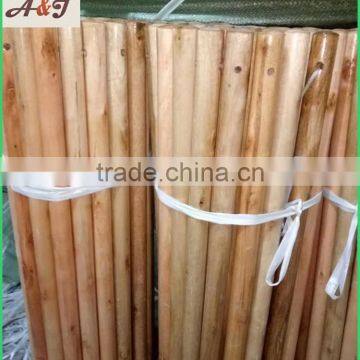Varnished Wooden Stick for Broom and Brush photo-6