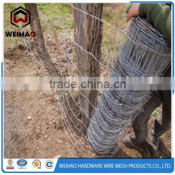 High Quality Galvanized Calf Cattle Fence