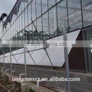 Commercial Multi Span Agricultural Film Greenhouse for Sale photo-2