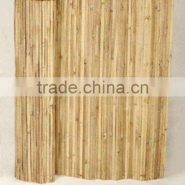 Bamboo Fence