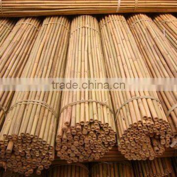 Natural Football Field Fence 3.5' 12-14mm Bamboo Cane for Several Sizes photo-3
