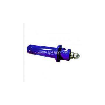 Standard Hydraulic Piston Cylinder