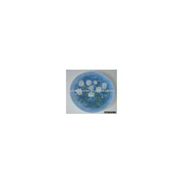 glass plate