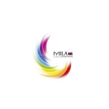 Changzhou Jiahao Floor Company