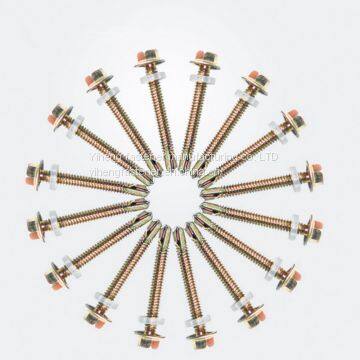 Hex Washer Self Drlling Screw photo-5