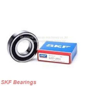 SKF Bearing