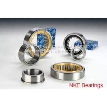 NKE Bearings