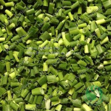 Frozen Spring Onion