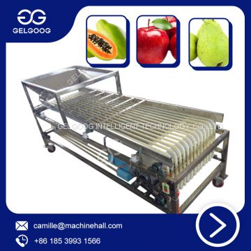 Automatic Fruit and Vegetable Sorting Machine Carrot Onion Potato Grading Machine Orbital Type