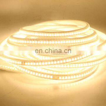 2020 Flexible 220V SMD 3038 144LEDs per meter light tape Christmas Light LED Strip