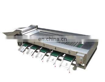 Vegetable Weight Sorting Grading Machine Fruit Size Sorting Machine photo-4