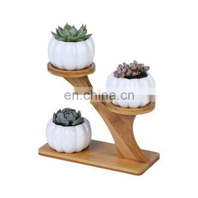 Home Decor Accessories Factory Direct Sale White Ceramic Flower Pot Stand Bonsai Pumpkin Shape Indoor Plant Pots