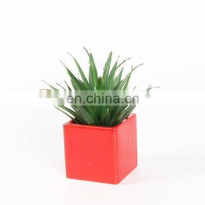 Garden Decor Glaze Fleshy Square Flowerpot Mini Tiny Succulent Flower Pot Creative Desktop Thumb Colorful Flower Pot