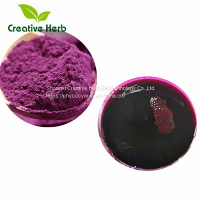 ISO.QS.Halal,Kosher certified natural food colorants pure purple sweet potato powder