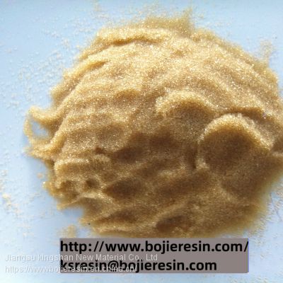 Strong Base Anion Exchange Resin