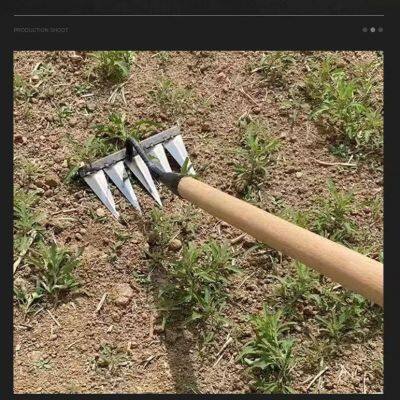 All Steel Hardened Nail Tines Grass Harrow Digging Wild Vegetables Lawn Loosening Rakes Hand Garden Sweeping Tool Weeding Rake photo-2
