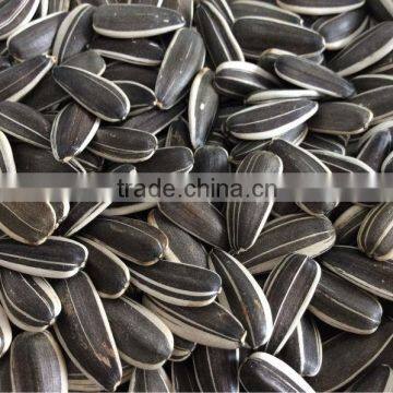 Chinese sunflower seeds for human consumption with sunflower seed market price